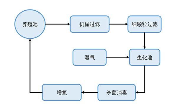 鱼瘟又至！湖北草鱼养殖渔场大面积暴毙！损失惨重如何解决？看看工厂化循环水系统怎么破！