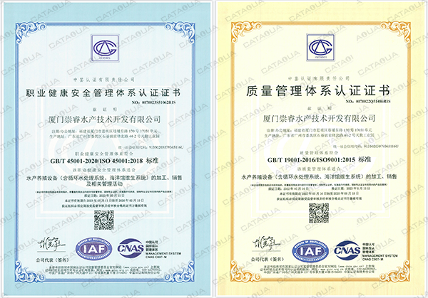 喜讯！崇睿集团再获两项ISO体系认证证书！